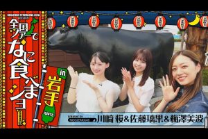 【乃木坂46】ライブ翌日に岩手グルメ食べに行ってみた！【焼肉・カツ丼】